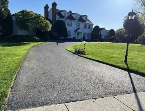 Jacksonville’s Trusted Asphalt Paving Contractor for Driveway Excellence